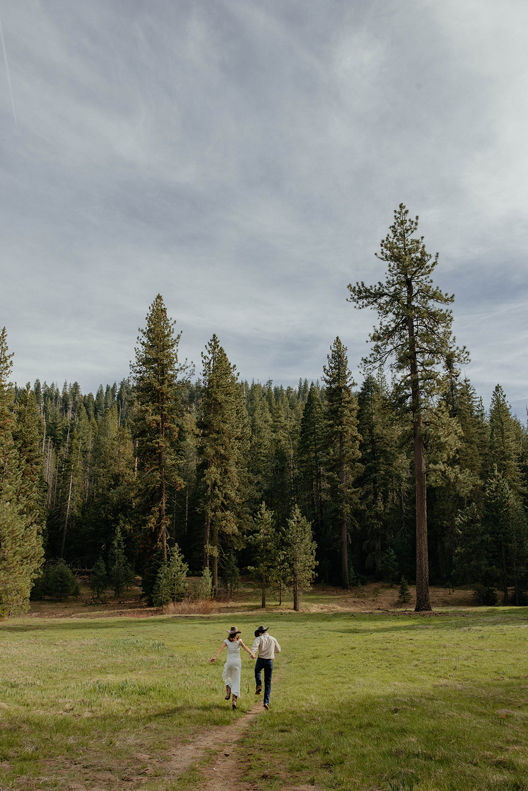 Madalyn and Hunter walking hand in hand through the meadow